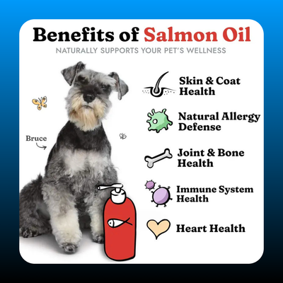 Salmon Oil for Dogs & Cats (8 oz.)
