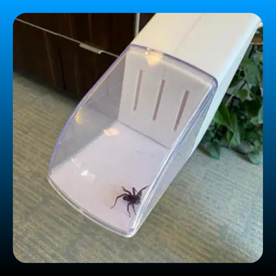 Portable Insect Catcher