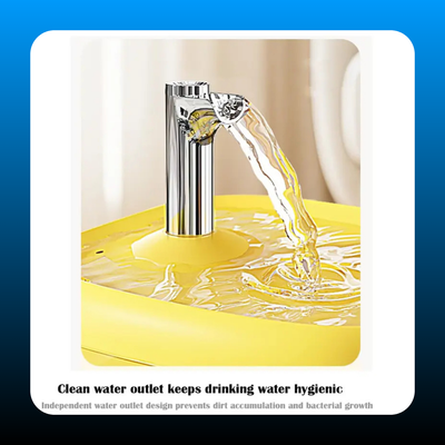 Transparent Automatic Pet Drinking Dispenser