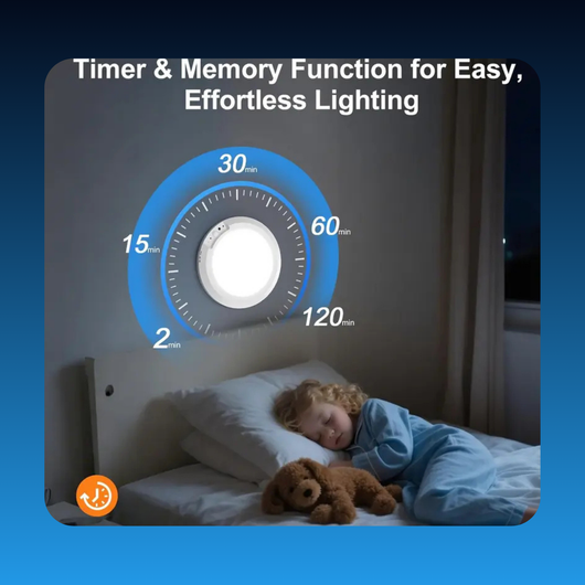 Rechargeable Motion Sensor Ceiling Light with Remote
