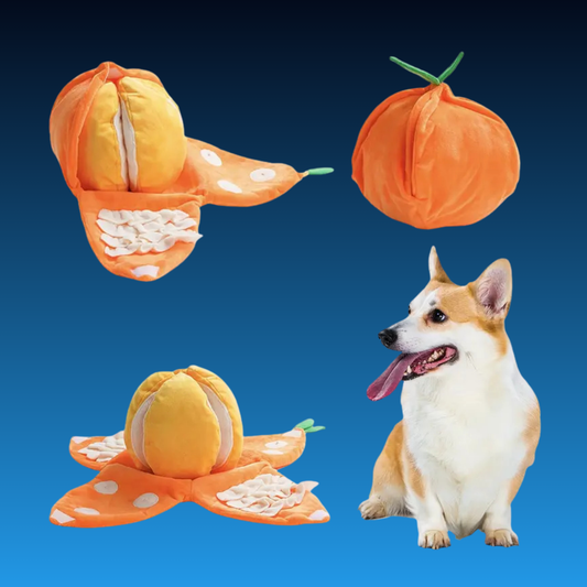 5-in-1 Orange Dog Enrichment Toy