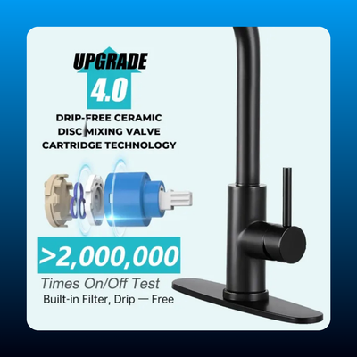 Pull-Down Kitchen Faucet with Sprayer