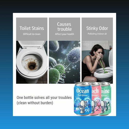 Soda Can Toilet Bowl Cleaner