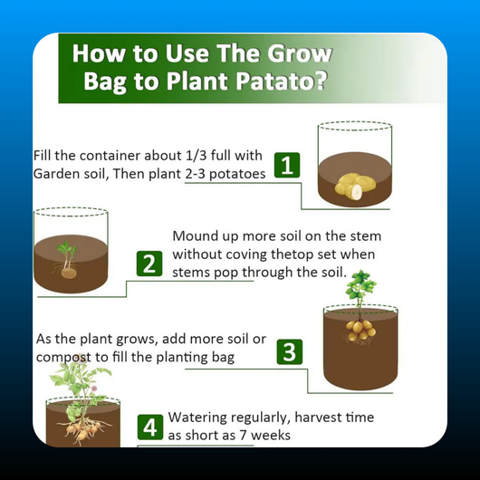 10 Gallon – Durable Garden Grow Bags (3 Pack)