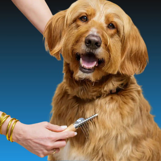 Dematting Rake for Dogs
