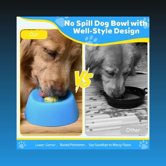 Slow Feeder Bowl