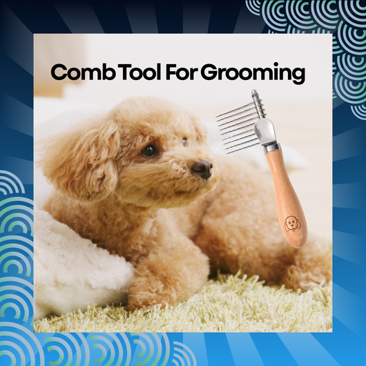Dog Detangling Brush for Pets