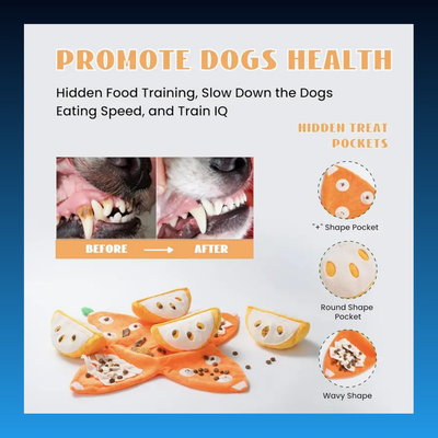 5-in-1 Orange Dog Enrichment Toy
