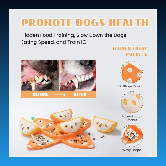5-in-1 Orange Dog Enrichment Toy