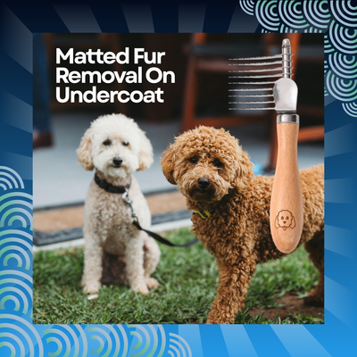 Dog Detangling Brush for Pets