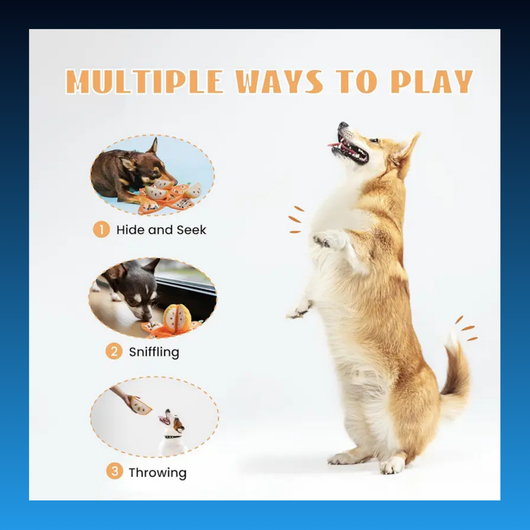 5-in-1 Orange Dog Enrichment Toy