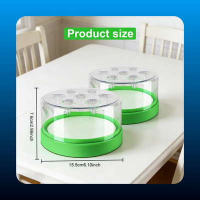 Non-Toxic Reusable Outdoor Fly Trap Cage