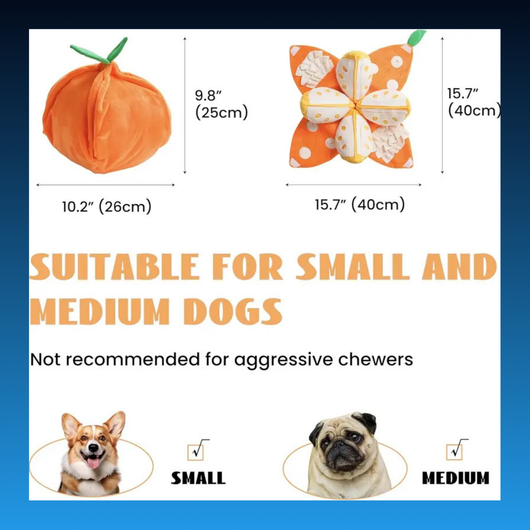 5-in-1 Orange Dog Enrichment Toy