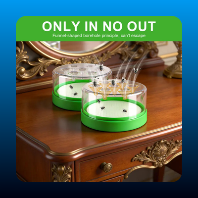Non-Toxic Reusable Outdoor Fly Trap Cage