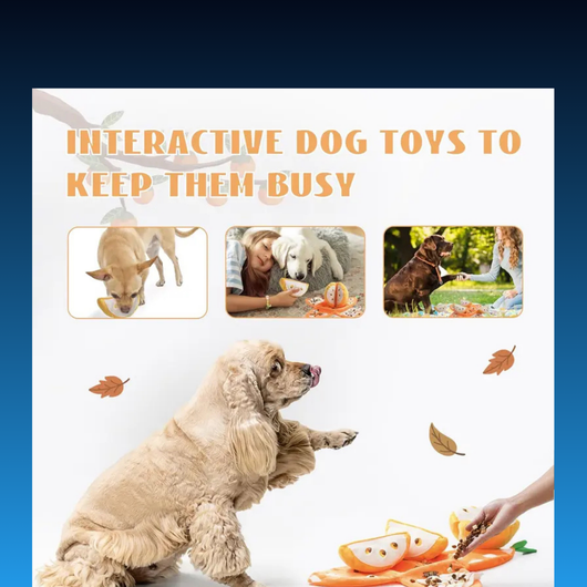 5-in-1 Orange Dog Enrichment Toy