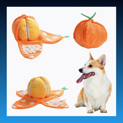 5-in-1 Orange Dog Enrichment Toy