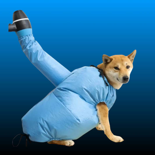 Quick Dry Pet Hair Drying Suit