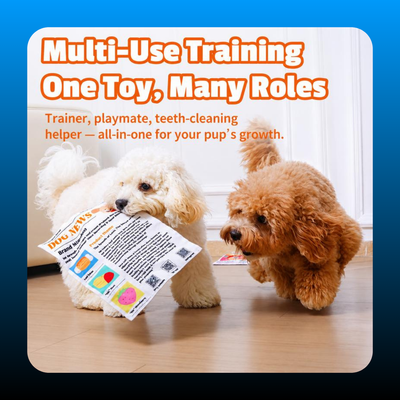 Durable Newspaper Pet Balloon Dog Toy
