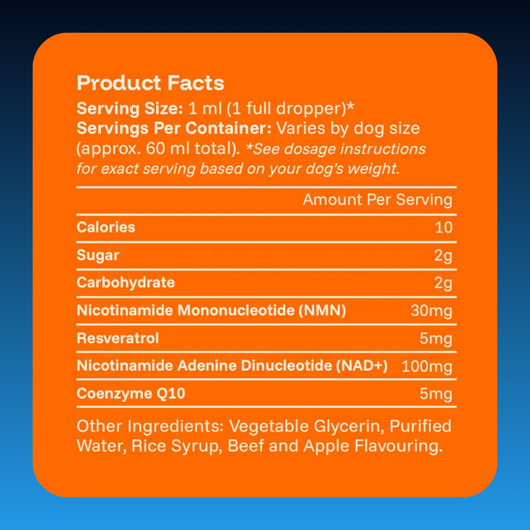 Liquid Longevity Supplement for Dogs