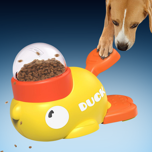 Interactive Treat Puzzle Feeder