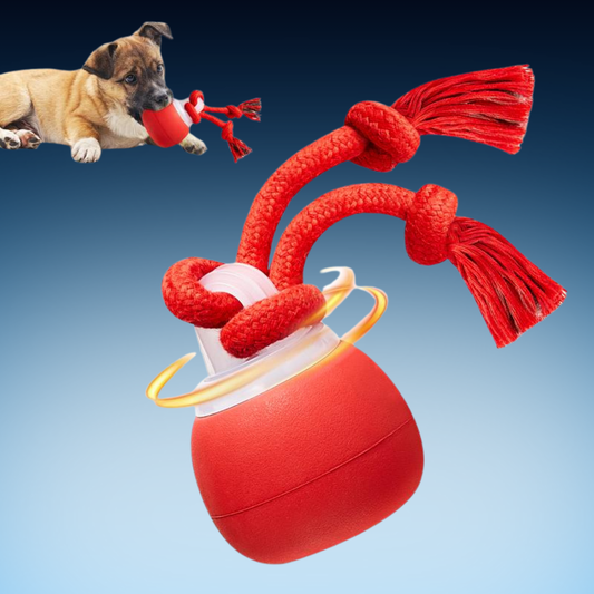 Interactive Rolling Rope Dog Toy