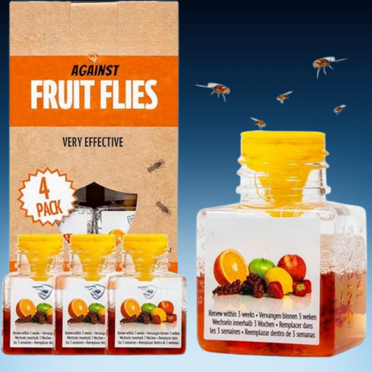 Natural Fruit Fly Traps (4 Packs)