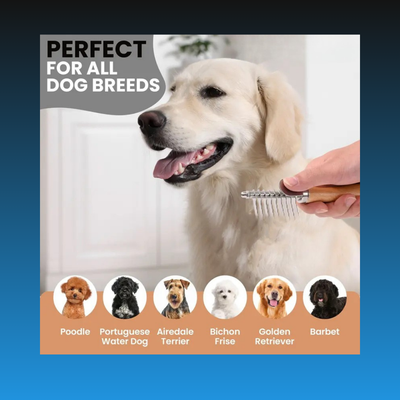 Dematting Rake for Dogs