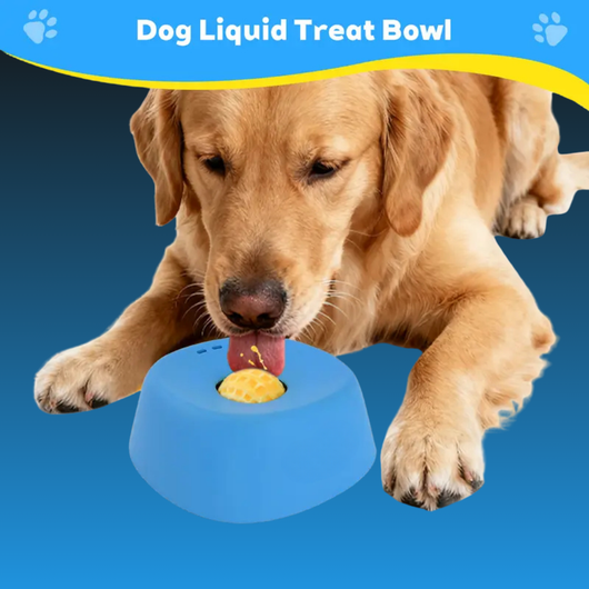 Slow Feeder Bowl