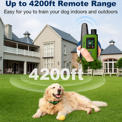 TrainPro Dog Training Collar