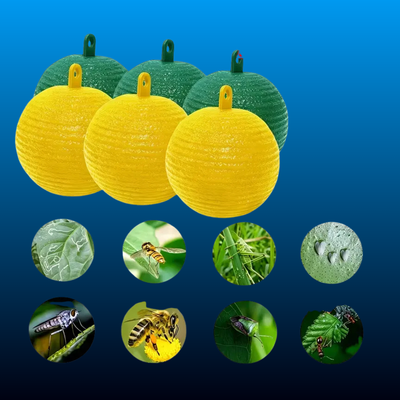 Yellow & Green Sticky Fruit Fly Traps (12 Pack)