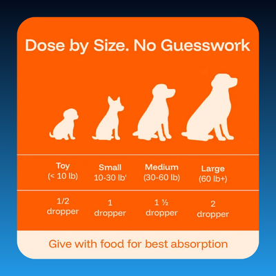 Liquid Longevity Supplement for Dogs