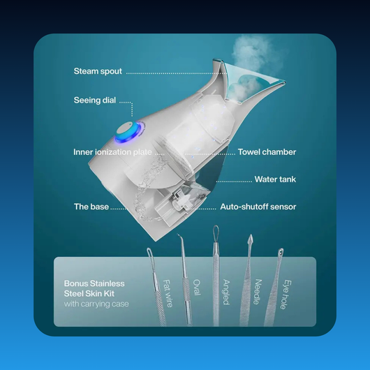 3-in-1 Ionic Facial Nanosteamer