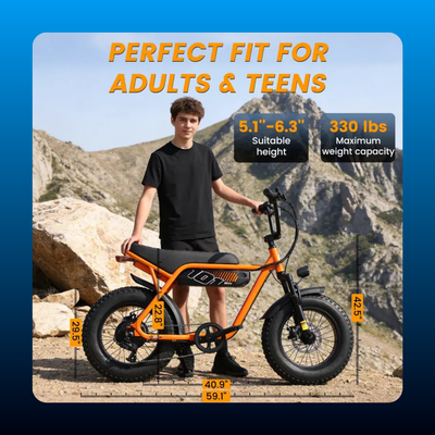Moped Style Fat Tire Electric Bike