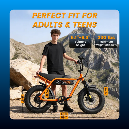 Moped Style Fat Tire Electric Bike
