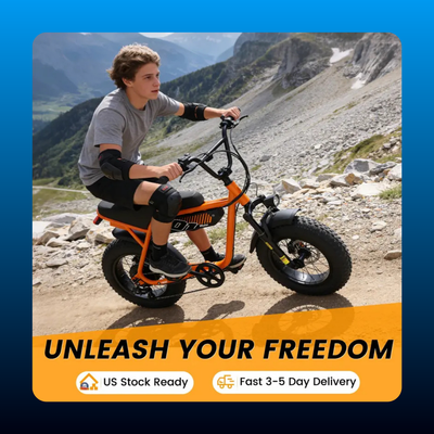 Moped Style Fat Tire Electric Bike