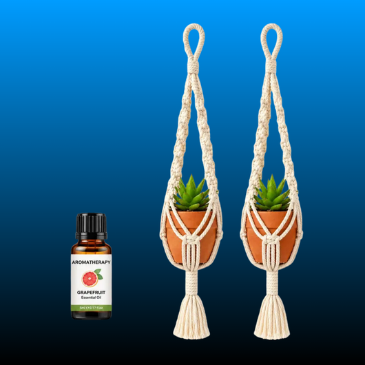 2-Piece Boho Style Macrame Cord Hanging Flower Pots Set with Essential Oil