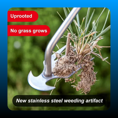 Multifunctional Grass Weeder