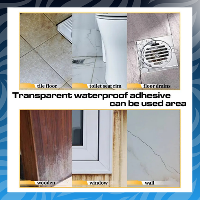 Transparent Waterproof Coating Sealant