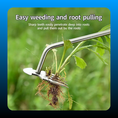 Multifunctional Grass Weeder