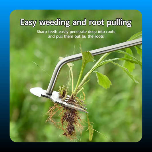 Multifunctional Grass Weeder