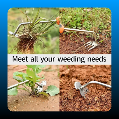 Multifunctional Grass Weeder