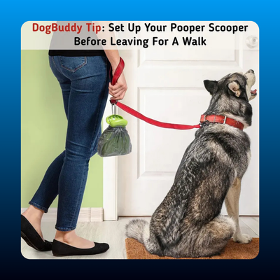 Portable Dog Poop Scooper with Bag Holder
