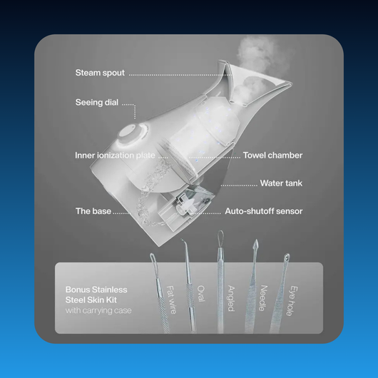 3-in-1 Ionic Facial Nanosteamer