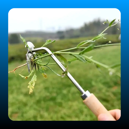 Multifunctional Grass Weeder