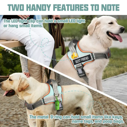 LifeGuard No-Pull Dog Harness