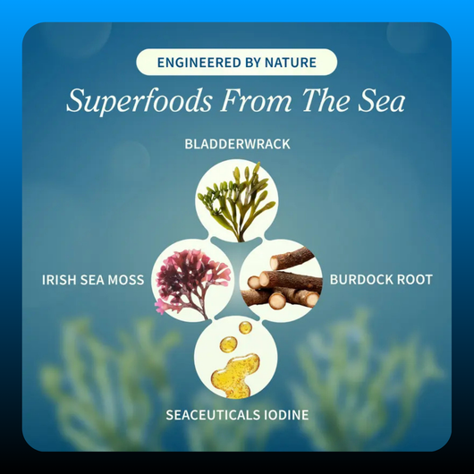 Irish Sea Moss Supplement Capsules
