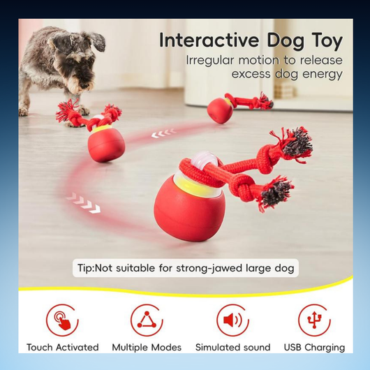 Interactive Rolling Rope Dog Toy