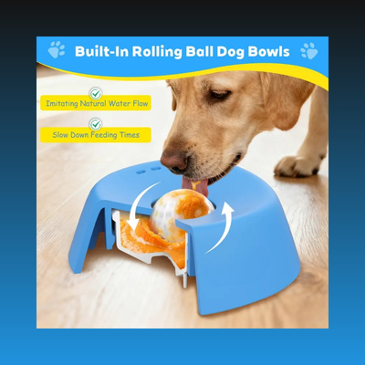 Slow Feeder Bowl