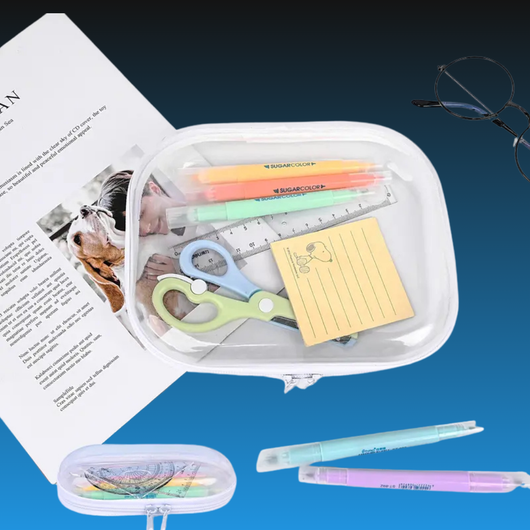 Transparent Hard-Shell Zipper Case