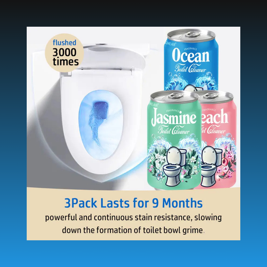 Soda Can Toilet Bowl Cleaner